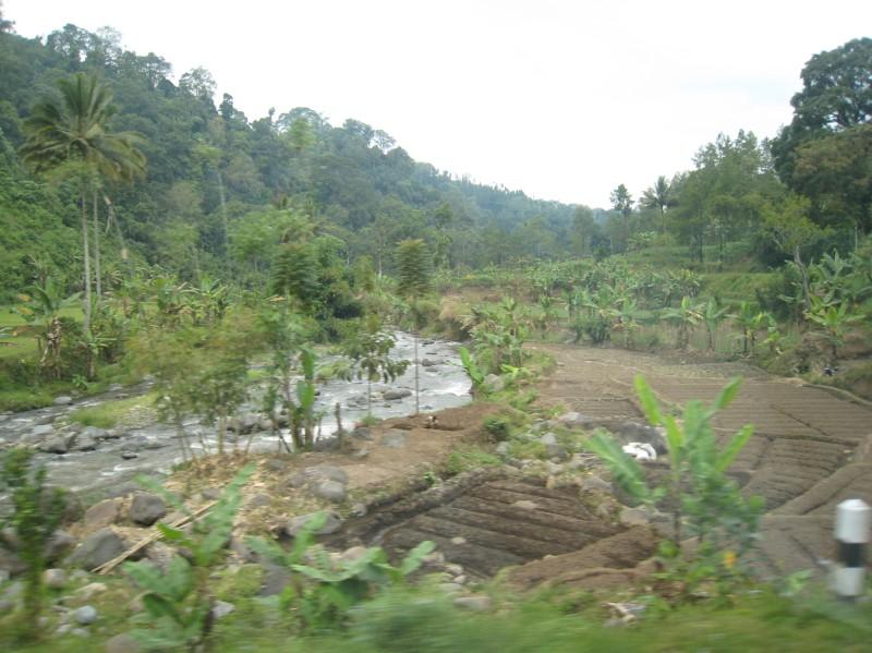 2007 07 13 BALI 067-1.jpg